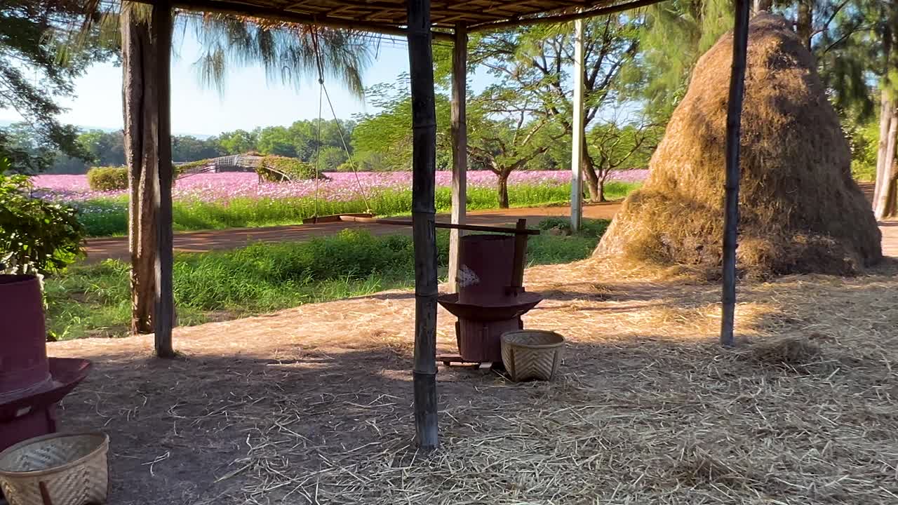 울창 한 초록색 과 풀 가운데 있는 시골 의 창고
