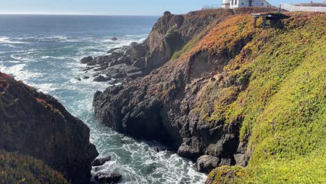 Tiro-Inclinado-De-Las-Suculentas-Coloridas-En-El-Faro-De-Pigeon-Point-En-La-Autopista-Uno-A-Lo-Largo-De-La-Costa-Del-Pacífico-En-El-Norte-De-California