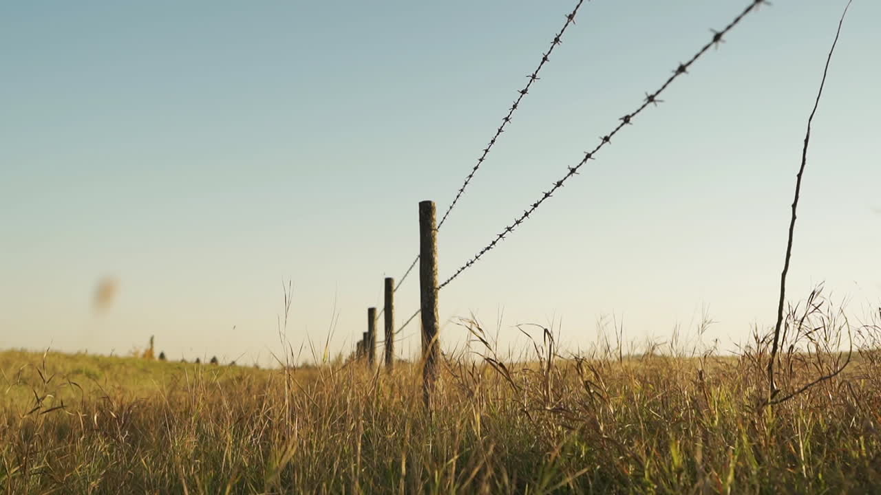 Barb Wire Fence In A Wheat Field In Red Deer County, Alberta, Canada - Wide Shot