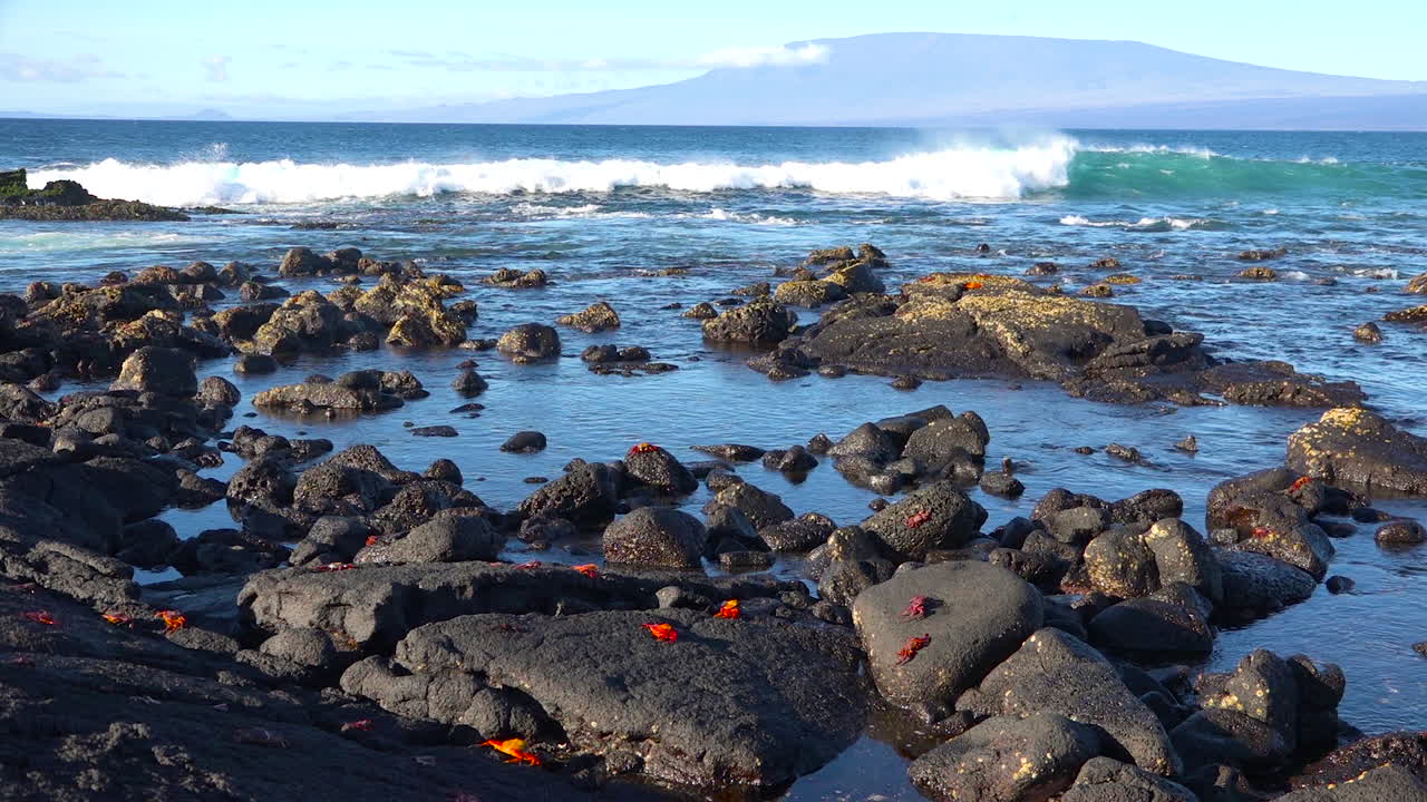 근처 바위에 밝은 붉은 샐리 라이트풋 크랩이 있는 갈라파고스 섬의 넓은 설정 샷