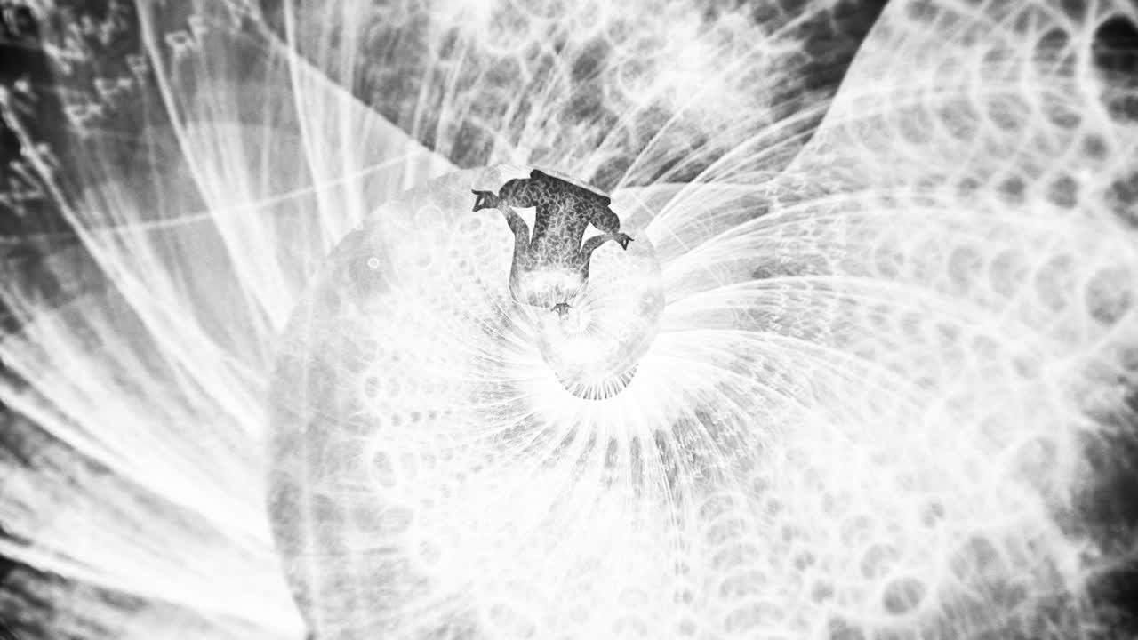 Abstract Black and White Floral Spiral