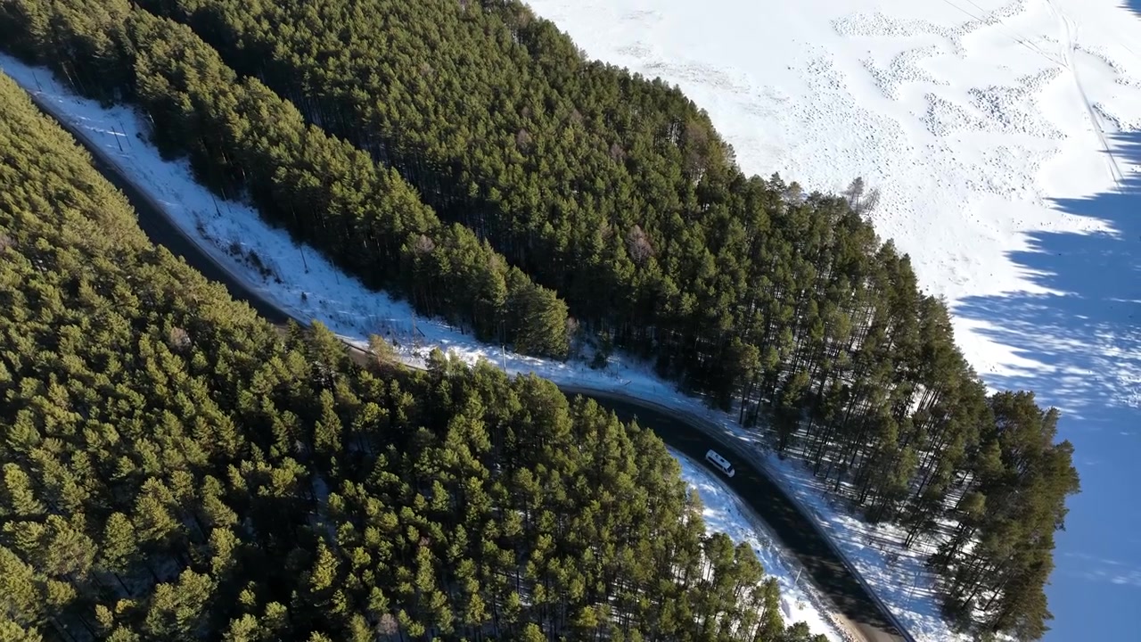 Drone footage looking down on a curving asphalt road cutting through dense evergreen forest and snow-covered fields on a sunny winter day, scenic nature travel view