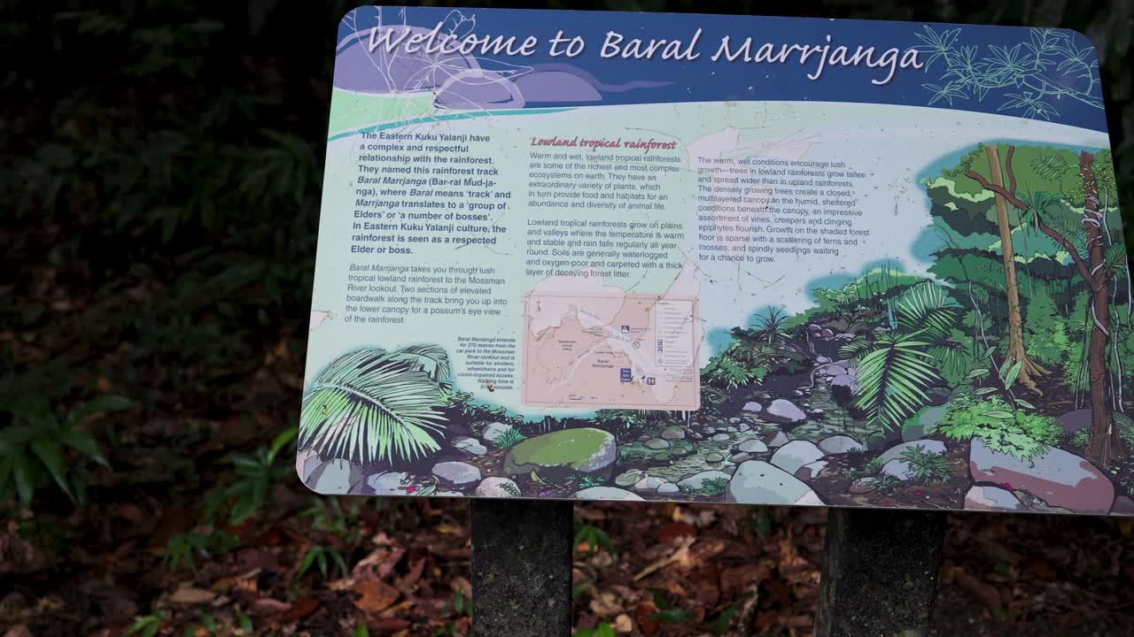 A serene forest path with informational signs, surrounded by dense greenery and natural light, inviting exploration