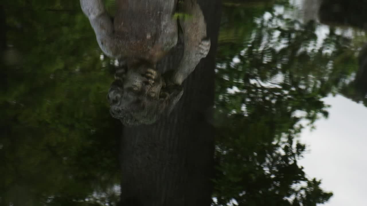 antigua estatua de tono antiguo figura clásica que se refleja en las ondas de agua de la fuente