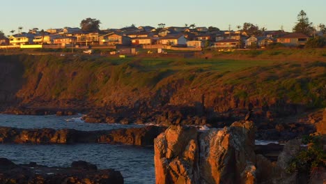 aerial view of cormorants resting on cathedral rocks during sunrise near kiama downs, nsw australia