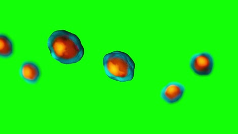 scientific animation of cells replicating on greenscreen
