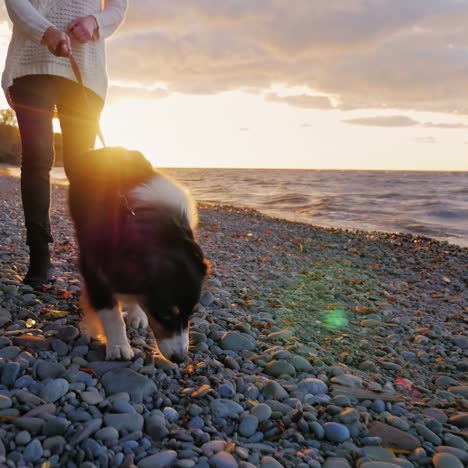 a young woman walking her dog at sunset by a lake 4