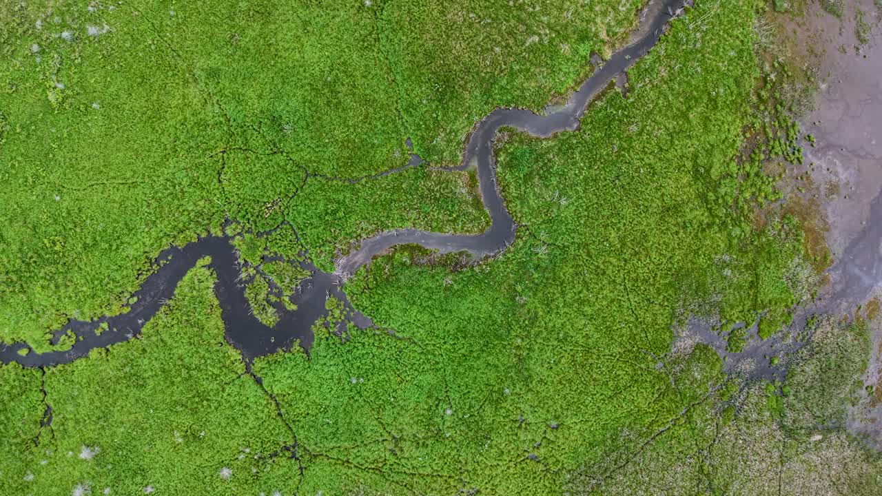 Aerial drone view of a winding river cutting through vibrant green wetland terrain