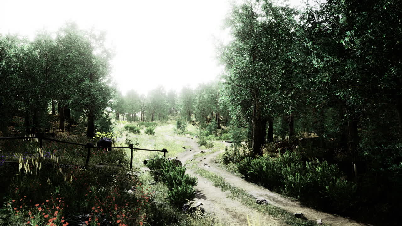 Peaceful forest pathway surrounded by lush greenery and trees