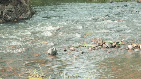 Pequeña-Corriente-Poco-Profunda-De-Agua-Que-Corre-Sobre-Guijarros-Y-Rocas-En-Tailandia