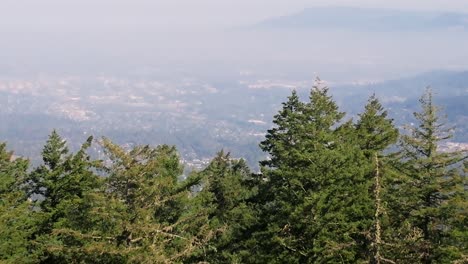 smoky-veiled-town-behind-Douglas-fir-tree-line,-drone-flyover,-Oregon