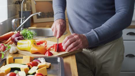 caucasian man standing in kitchen, cooking dinner and chopping vegetables