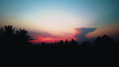 Red-Sunset-Behind-the-Palm-Trees-in-the-Jungle