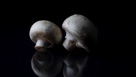 two mushrooms on dark background