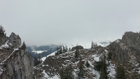 Aerial-of-mountain-ledge-with-a-reindeer-suddenly-running-downhill