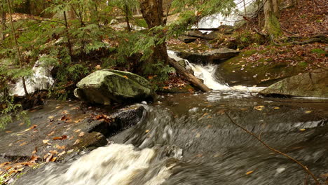 Powerful-forest-mountain-river-flowing-down,-autumn-landscape-in-Canada