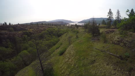 An-aerial-view-of-the-rolling-hills-of-the-Pacific-Northwest-1