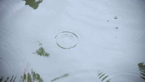 a slow motion of rain drop in the water the pond rainy day closeup