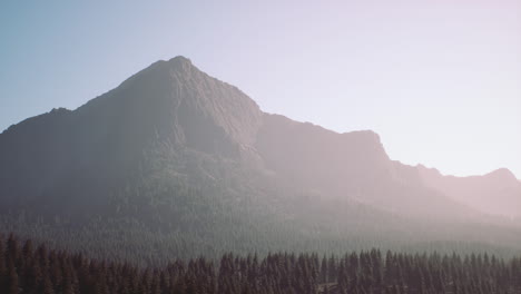 mountain peak in a foggy forest