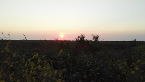 Puesta-De-Sol-En-El-Campo-De-Portugal