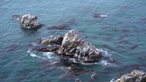 Rocas-Llenas-De-Aves-Marinas-Por-La-Costa-De-Perú,-Hábitat-Marino,-Cámara-Lenta-HD