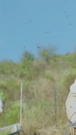 beekeeper tending to hives amidst swarming bees