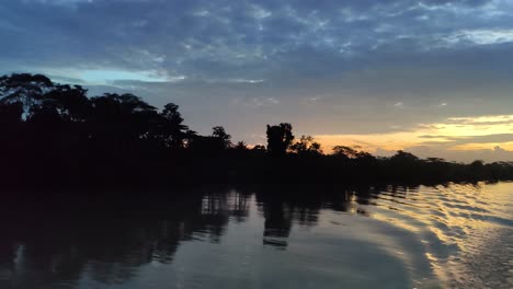 silhouettes over mangrove forest and river during sunset