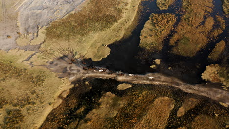 vista de pájaro de caballos salvajes corriendo en el paisaje escénico de kayseri en turquía - toma aérea de drones
