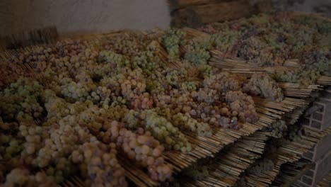 grapes drying on straw mats for winemaking in italy