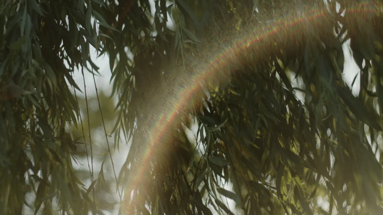 солнце ярко светит в объектив, отбрасывает отблески и прячется в утро