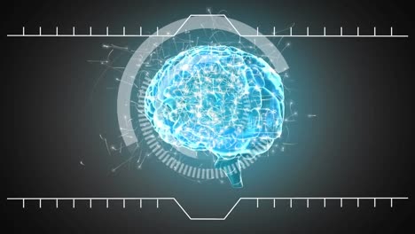 animation of network of connections over brain