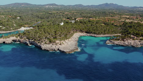 aguas cristalinas y exuberante vegetación de calo des borgit en cala de mallorca en españa