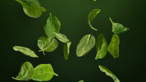 green baby spinach leaves falling in slow motion loop with alpha matte