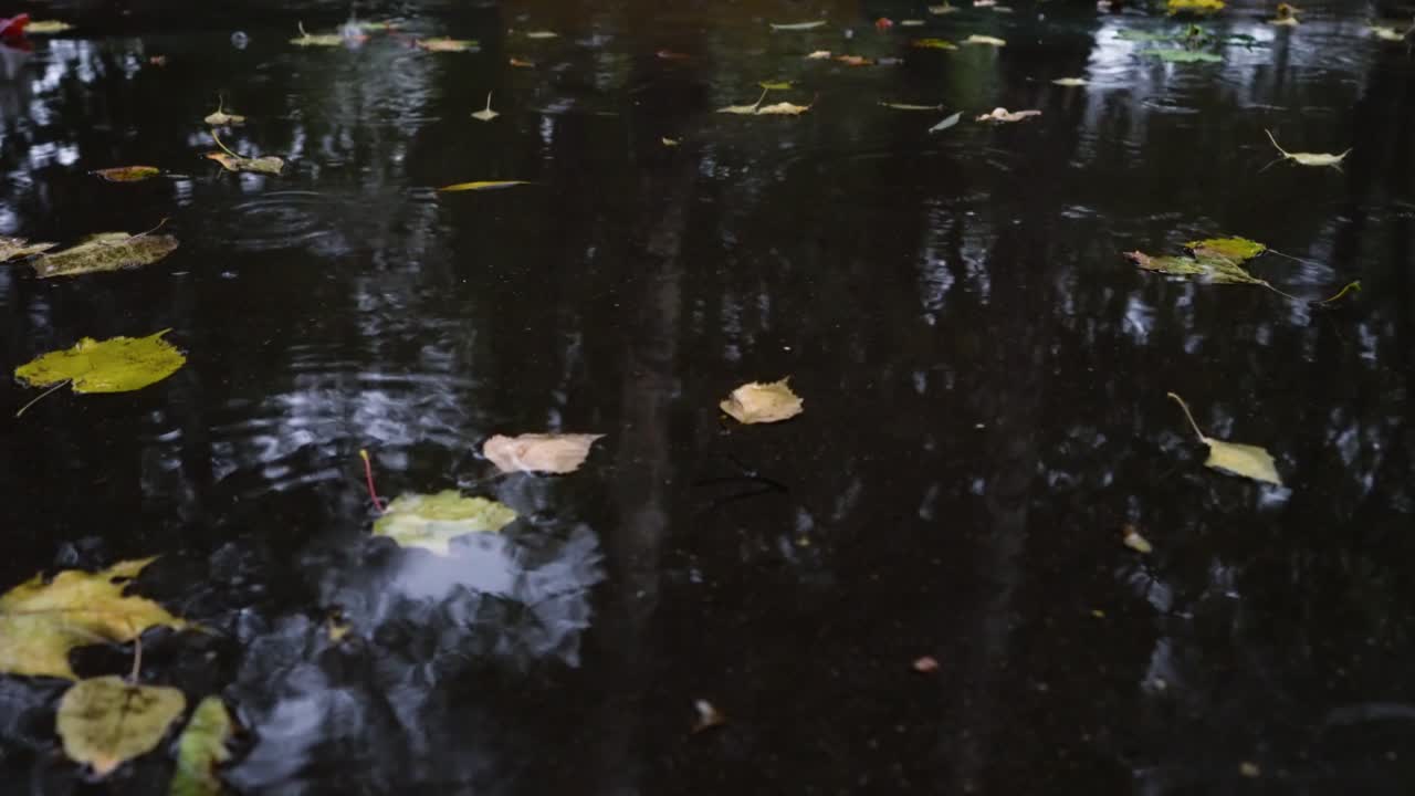 Autumn rain in bad weather, rain drops on the surface of the puddle with fallen leaves.