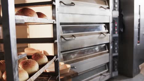 fresh rolls in row with seeds on bakery sheets and big over in bakery kitchen in slow motion