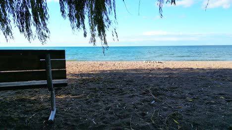 Empty-bench-under-flowing-weeping-willow-tree-at-sandy-blue-beach,-slomo-dolly