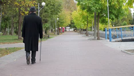an elderly man walks with a cane along a tree-lined path in a park during autumn