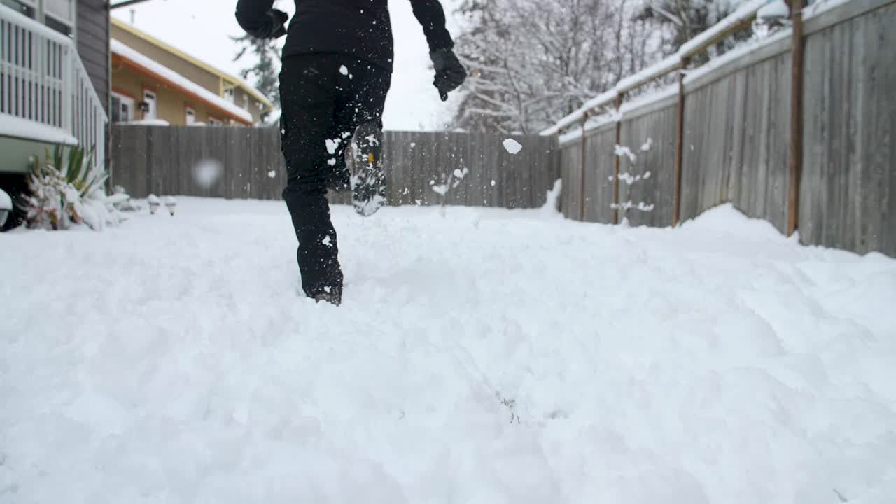 pastor australiano corriendo con su humano