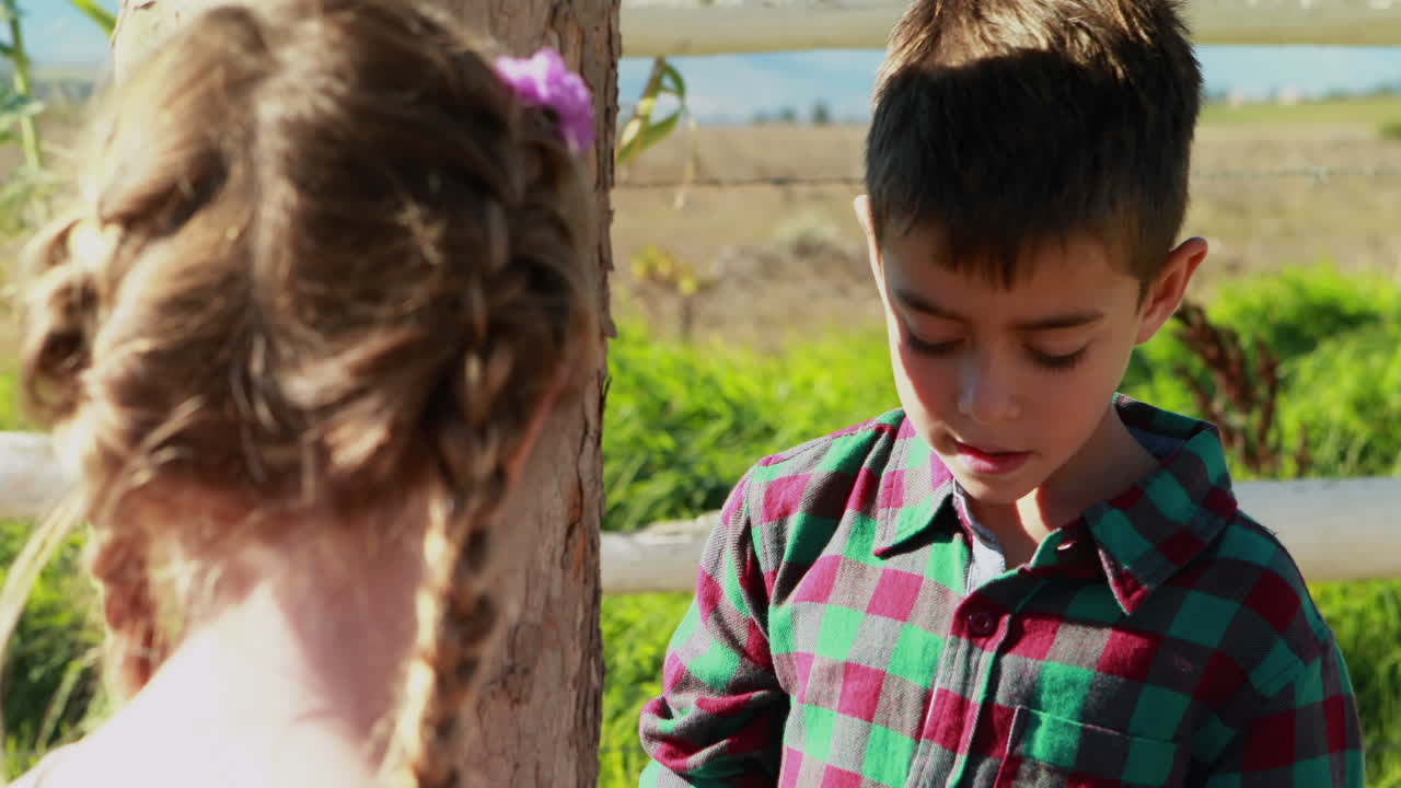 공원 4k에서 서로 상호 작용하는 아이들