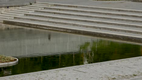 a person reflected on a urban pond walking to the right