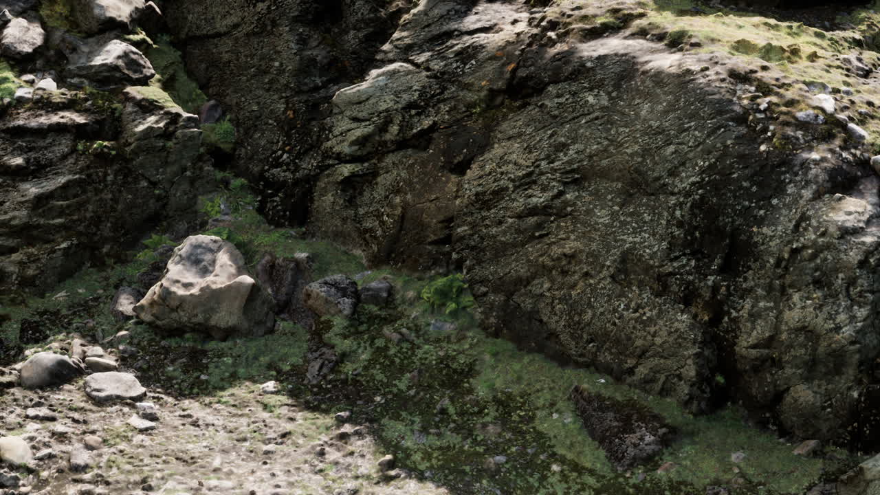 바위 돌 형성이 가까이 있습니다.