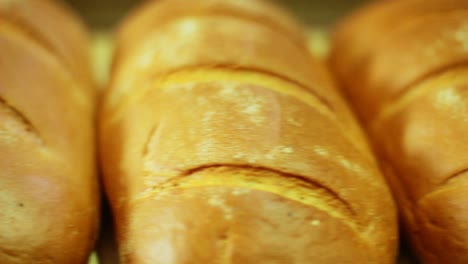 loaf of bread closeup. bakery products on manufacturing line. white bread