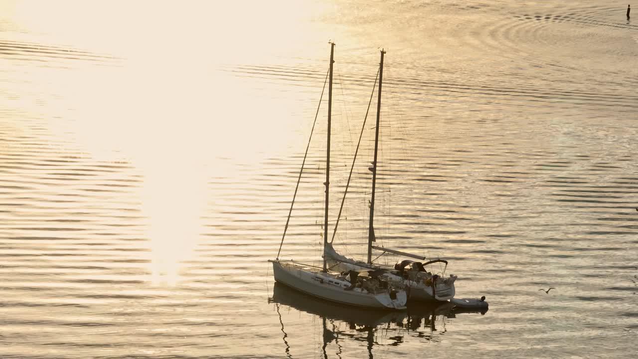 Due barche a vela nell'acqua al tramonto a Brouwersdam, Paesi Bassi