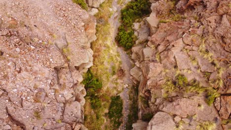 Drying-river-bed-with-still-growing-foliage-in-deep-valley,-aerial-top-down