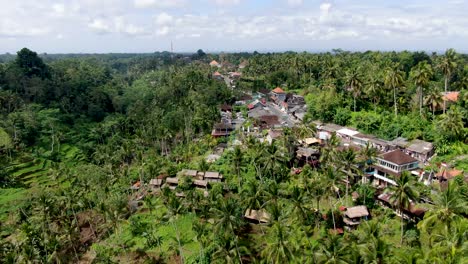 Tropical-Bali-jungle-and-Ubud-terraces-near-living-homes,-aerial-view