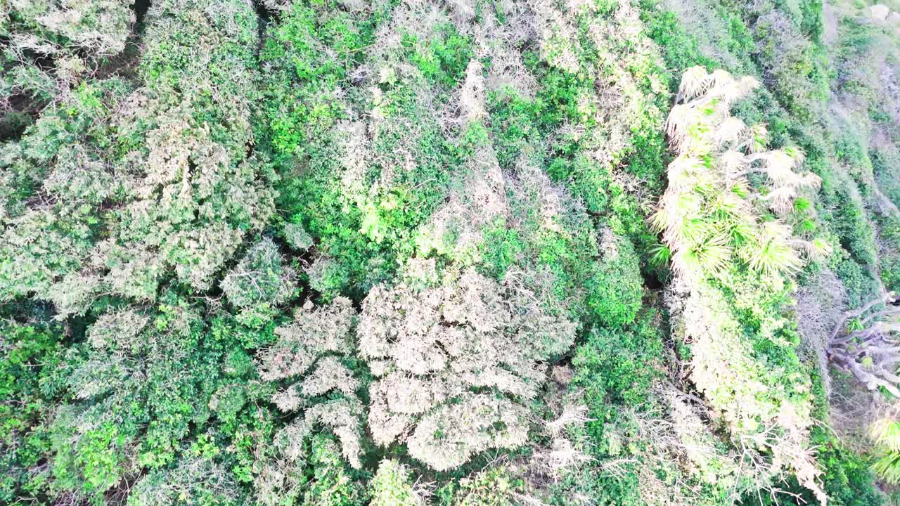 Aerial View Tilt of the Coast and the City in Ninh HảI District.