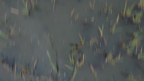 Una-Imagen-Residual-De-Un-Dron-Volando-Sobre-El-Lago