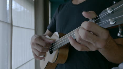 close up hand musician playing ukelele