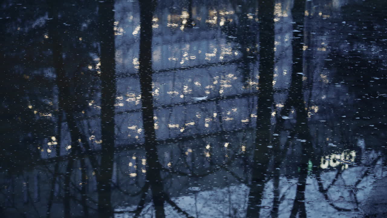 Abstrakti heijastus puista ja lämpimistä valoista jäisellä veden pinnalla talvipuistossa.