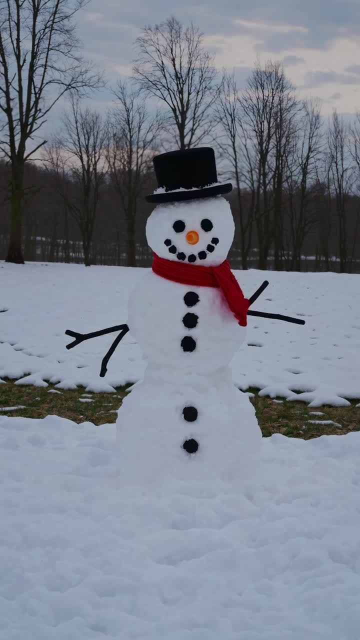 A snowman with a top hat and red scarf stands in a snowy field. The video captures it from a low